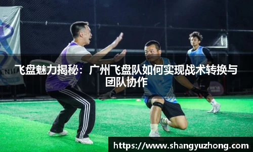 飞盘魅力揭秘：广州飞盘队如何实现战术转换与团队协作