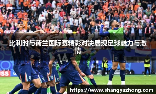 比利时与荷兰国际赛精彩对决展现足球魅力与激情